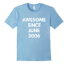 Image of Awesome Since June 2006 t-shirt - June Birthdays