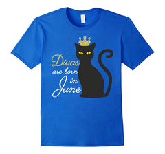 June Birthday Black Cat Lover Novelty Shirt