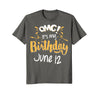 Image of OMG! It's My Birthday 12th of June Birthday Gift T-Shirt
