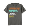 Image of June 2001 17th Birthday Gift 17 years old T-shirt