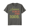 Image of Awesome Born on June 2008 10th Birthday Gift T-shirt 10th