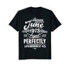 Image of Legends Were Born In June 1973, 45th Birthday Gift Shirt