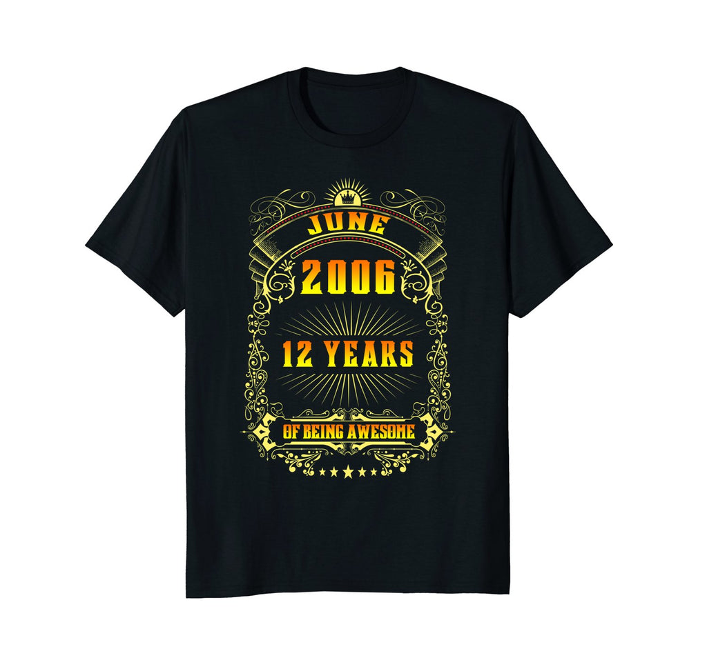 12th Birthday T-Shirt June 2006 12 Years Old Gift Shirt