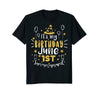 Image of Birthday June 1st Party T-shirt Born On June 1st