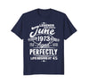 Image of Legends Were Born In June 1973, 45th Birthday Gift Shirt