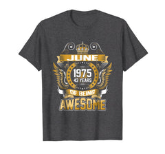 June 1975 43th Birthday 43 Years Old Gift T-Shirt