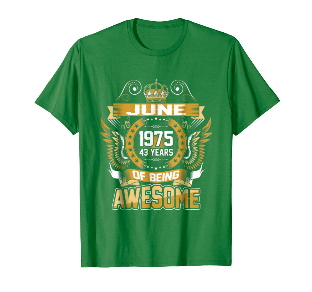 June 1975 43th Birthday 43 Years Old Gift T-Shirt