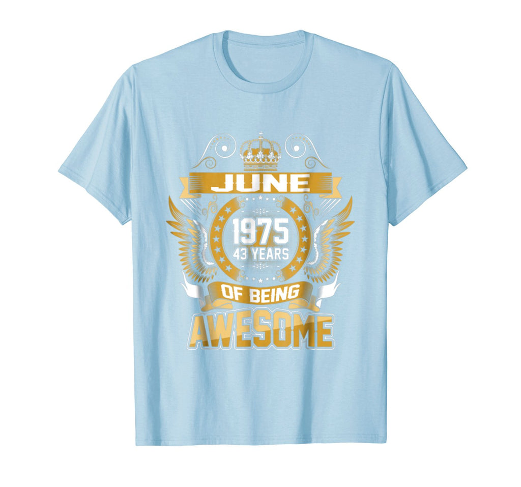 June 1975 43th Birthday 43 Years Old Gift T-Shirt
